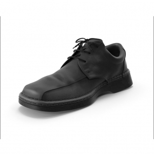 BLACK SHOE_1