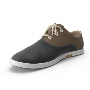 BLACK SHOE_1