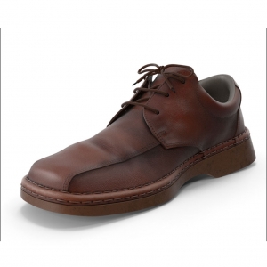 BLACK SHOE_1