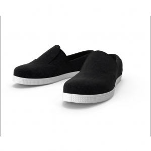 BLACK SHOE_1